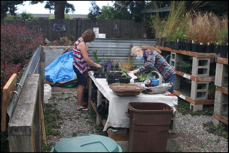 Become A Master Gardener – Clallam County Master Gardener Foundation